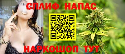 apvp Славгород