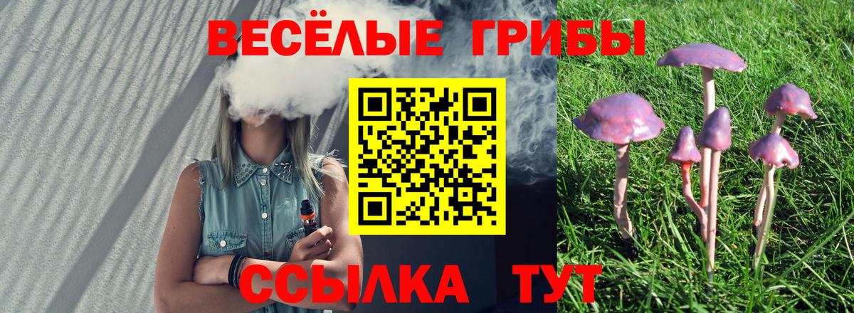 Псилоцибиновые грибы прущие грибы  Псилоцибиновые грибы Psilocybe  Вход с VPN  Нижнеудинск 