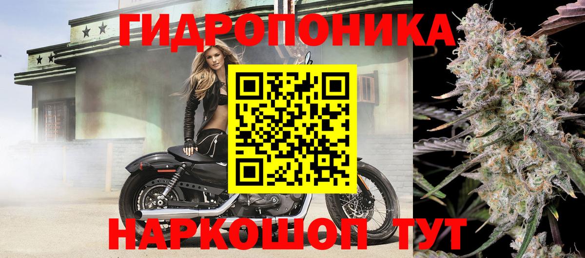 Бошки марихуана THC 21% Нижнеудинск